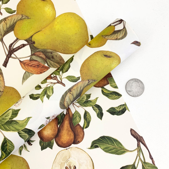 Large Pears Fruit Print Paper ~ Tassotti Italy
